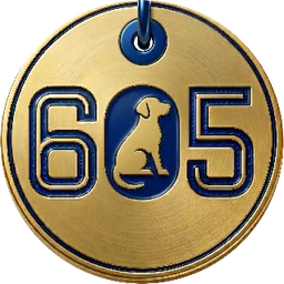 605 Good Dog — gold dog tag on navy