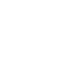 The Bridge